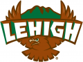 Lehigh Mountain Hawks 1996-2003 Primary Logo Iron On Transfer