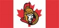 Ottawa Senators Flag001 logo Print Decal