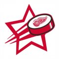 Detroit Red Wings Hockey Goal Star logo Print Decal