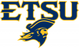 ETSU Buccaneers 2014-Pres Secondary Logo Iron On Transfer