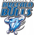 Buffalo Bulls 1997-2006 Alternate Logo Print Decal