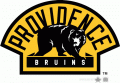 Providence Bruins 2010 11-Pres Alternate Logo Print Decal