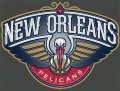 New Orleans Pelicans Plastic Effect Logo Iron On Transfer