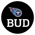 Tennessee Titans 2013 Memorial Logo Print Decal