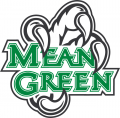 North Texas Mean Green 2005-Pres Alternate Logo 04 Print Decal