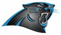 Carolina Panthers Plastic Effect Logo Iron On Transfer