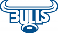 Bulls 1997-Pres Primary Logo Print Decal