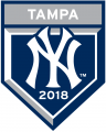 New York Yankees 2018 Event Logo Iron On Transfer