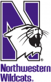 Northwestern Wildcats 1981-Pres Alternate Logo Iron On Transfer