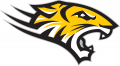 Towson Tigers 2004-Pres Alternate Logo 02 Print Decal