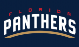 Florida Panthers 2016 17-Pres Wordmark Logo 03 Iron On Transfer