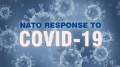 covid-19 logo 70 Iron On Transfer