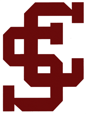 Santa Clara Broncos 1978-1997 Alternate Logo Print Decal