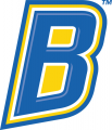 CSU Bakersfield Roadrunners 2006-Pres Alternate Logo 04 Print Decal