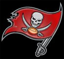 Tampa Bay Buccaneers Plastic Effect Logo Iron On Transfer