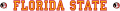 Florida State Seminoles 1990-2013 Wordmark Logo Iron On Transfer
