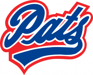 Regina Pats 2009 10-2013 14 Primary Logo Iron On Transfer