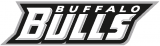 Buffalo Bulls 2007-Pres Wordmark Logo Iron On Transfer