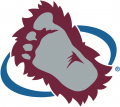 Colorado Avalanche 1999 00-2014 15 Secondary Logo Print Decal