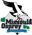 Missoula Osprey 1999-Pres Primary Logo Iron On Transfer