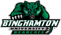 Binghamton Bearcats 2001-Pres Primary Logo Iron On Transfer