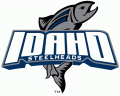 Idaho Steelheads 2011 12-Pres Primary Logo Iron On Transfer