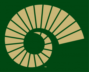 Colorado State Rams 2015-Pres Alternate Logo 14 Iron On Transfer