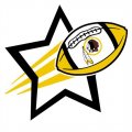 Washington Redskins Football Goal Star logo Print Decal