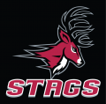 Fairfield Stags 2002-Pres Alternate Logo 01 Iron On Transfer