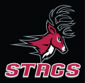 Fairfield Stags 2002-Pres Alternate Logo 01 Print Decal