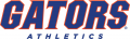 Florida Gators 2013-Pres Wordmark Logo 03 Iron On Transfer