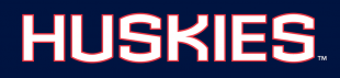 UConn Huskies 2013-Pres Wordmark Logo 03 Iron On Transfer