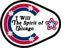 Chicago Blackhawks 1975 76 Special Event Logo Print Decal