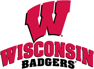 Wisconsin Badgers 2002-Pres Alternate Logo 03 Print Decal