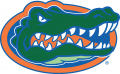 Florida Gators 1995-2012 Primary Logo Iron On Transfer