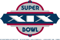 Super Bowl XIX Logo Iron On Transfer