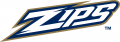 Akron Zips 2002-Pres Wordmark Logo 02 Print Decal