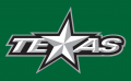 Texas Stars 2015 16-Pres Alternate Logo Print Decal