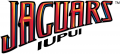IUPUI Jaguars 2008-Pres Wordmark Logo Print Decal