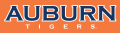 Auburn Tigers 2006-Pres Wordmark Logo 05 Print Decal