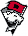 Charlotte Checkers 2010-Pres Alternate Logo Print Decal