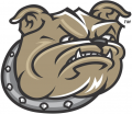 Bryant Bulldogs 2005-Pres Secondary Logo Iron On Transfer