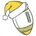 Green Bay Packers Football Christmas hat logo Iron On Transfer