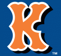 Kingsport Mets 2003-Pres Cap Logo Print Decal