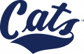 Montana State Bobcats 2004-Pres Wordmark Logo Iron On Transfer