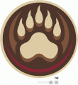 Hershey Bears 2012-Pres Alternate Logo Iron On Transfer