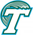 Tulane Green Wave 1998-2013 Secondary Logo Print Decal