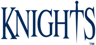 Charlotte Knights 1999-2013 Wordmark Logo Iron On Transfer