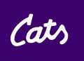 Kansas State Wildcats 1988 Wordmark Logo Iron On Transfer