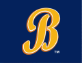 Montgomery Biscuits 2009-Pres Cap Logo 3 Iron On Transfer